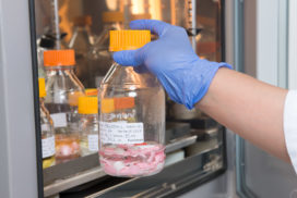 Biological Reactivity of Materials - Pacific BioLabs